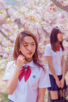 小林家的龙女仆第三季